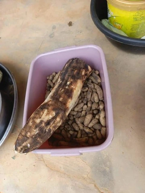 manioc et arachide