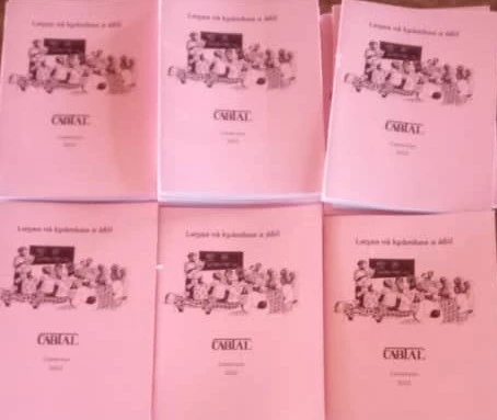 Manuel de transition bobilis